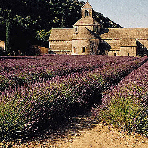 Bilder einer Landschaft - Im Vaucluse